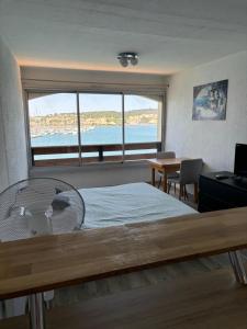 a bedroom with a bed and a large window at Studio cabine vue mer Agde Ile des pecheurs in Cap d'Agde