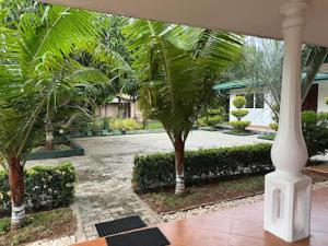 Blick auf einen Innenhof mit Palmen und einem Haus in der Unterkunft Sunshine Holiday Resort -Sella Kataragama in Kataragama