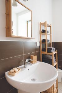 阿科Appartamenti Maso Giare的带白色水槽和镜子的浴室