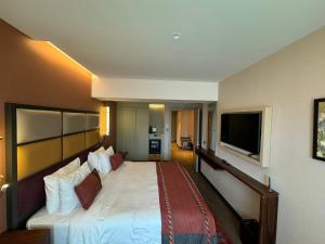 Cama ou camas em um quarto em Sile Gonen Hotel