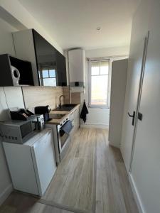 una cocina con fregadero y estufa horno superior en Charmant appartement Joinvillais, en Joinville-le-Pont