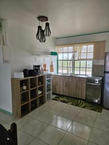 une cuisine avec des placards en bois et une grande fenêtre dans l'établissement Villa Raven´s Paradise (Verde), à Willemstad