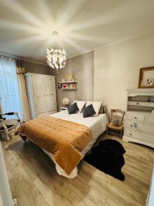 a bedroom with a large bed and a chandelier at Douceur de Vivre in Châteauroux +3 photos