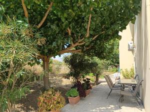 a patio with a table and chairs under a tree at Eirini- Ioanna in Sami