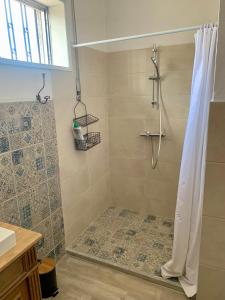 e bagno con doccia e tenda. di Casa Da Alice a Duas Igrejas