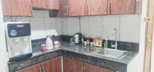 LA Gold hostel capsule的厨房或小厨房
