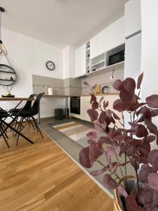 Kuchyň nebo kuchyňský kout v ubytování Angel Apartment