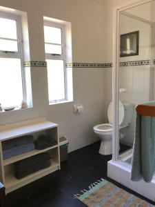 un bagno con un water, un lavandino e uno specchio di Seals Cottage Excellent Main Beach Access a Cape St Francis