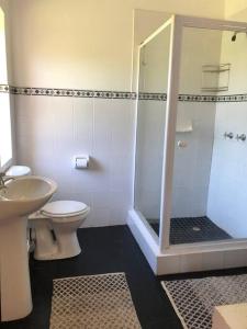 un bagno con doccia, WC e lavandino di Seals Cottage Excellent Main Beach Access a Cape St Francis