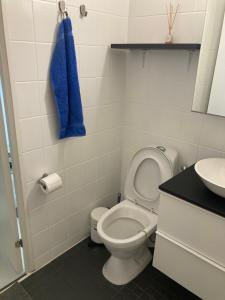 a bathroom with a toilet and a blue towel at Rovaniemi center apartment in Rovaniemi +12 photos