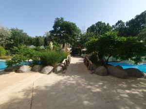 Billede fra billedgalleriet på Harmony Suites 11 Grand Resort i Sunny Beach + 16 billeder