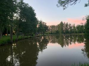 Photo de la galerie de l'établissement Le Château des Rêves de la Ferté Fresnel, à La Ferté-Fresnel
