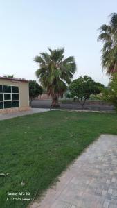 Gallery image of شاليه الرمال in Al Wāşil