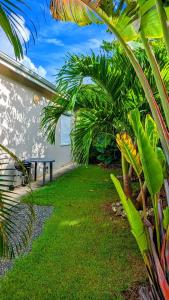 a garden with a bench and some palm trees at Villa MIA in Saint-François
