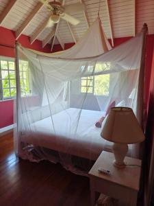 a bedroom with a canopy bed and a table with a lamp at Villa Ananda Tobago in Patience Hill +25 photos