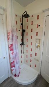 a bathroom with a shower with a toilet and a shower curtain at Gîte Richmond Inn in Richmond