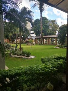 a view of a park with palm trees and a building at Depto de 3 dormitorios camas king in Santa Cruz de la Sierra