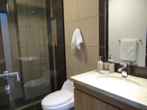 a bathroom with a shower and a toilet and a sink at Depto de 3 dormitorios camas king in Santa Cruz de la Sierra +13 photos