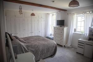 TV a/nebo společenská místnost v ubytování Clemenstone House B&B