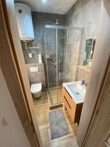 a bathroom with a shower and a toilet and a sink at ZnojmoApartment in Znojmo