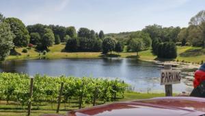 a sign in front of a river with a vineyard at The Cottage Inn At Amos Lake in Preston