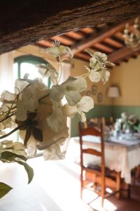 Fotografie z fotogalerie ubytování Villa Canavetro v destinaci Palaia