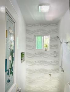 a bathroom with a shower and a window at Bacolod City House Rental in Tangub