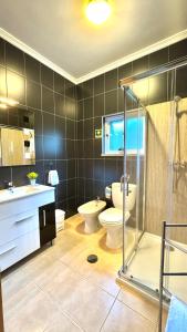 a bathroom with a toilet and a sink and a shower at Casa da Oliveira, Aradas, Pampilhosa da Serra, Wifi, Ar Condicionado, Churrasqueira, Parqueamento, by IG in Unhais-o-Velho