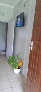 TV a/nebo společenská místnost v ubytování Palmview studio