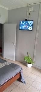 Televisyen dan/atau pusat hiburan di Palmview studio