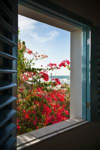 a window view of a garden with red flowers at Casa encantadora com Vista Mar na Caponga in Cascavel
