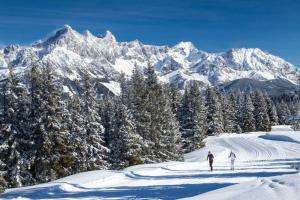 フィルツモースにあるApartments in Filzmoos - Salzburger Land 41136の雪山で2人スキーをしている +4枚の写真