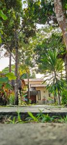 a house in the middle of a forest of trees at 4 Elementos Guest House in Arraial d'Ajuda
