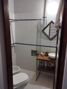 a bathroom with a shower and a toilet and a sink at Solar de Fanny in Cordoba
