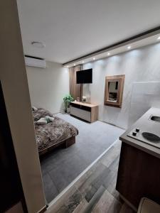 TV a/nebo společenská místnost v ubytování Apartments Green Beograd