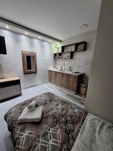 Kuchyň nebo kuchyňský kout v ubytování Apartments Green Beograd