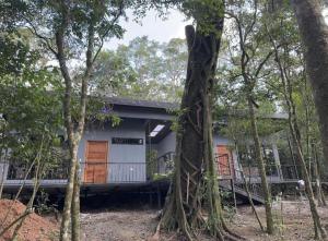 a house in the middle of some trees at Roca Verde - Monteverde Cloud Forest Lodging in Monteverde Costa Rica