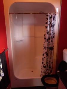 e bagno con doccia, servizi igienici e tenda per la doccia. di Homefield Cottage Halls Gap a Halls Gap Altre 23 foto