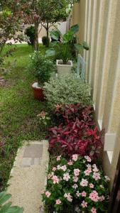 Φωτογραφία από το άλμπουμ του HANA Homestay σε Taitung City