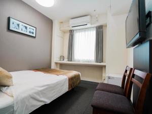 TV a/nebo společenská místnost v ubytování Hotel AreaOne Okayama