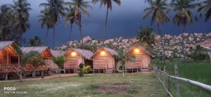 a row of wooden huts with palm trees and lights at Blue Sky Cottages Hampi in Hampi