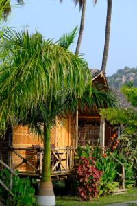 a house with a palm tree in front of it at Blue Sky Cottages Hampi in Hampi