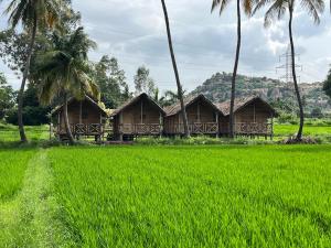 a row of houses in a field of green grass at Blue Sky Cottages Hampi in Hampi