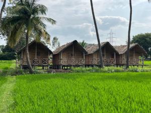 a row of bamboo houses with a field of green grass at Blue Sky Cottages Hampi in Hampi