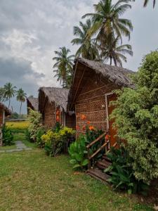 a small house with a palm tree behind it at Blue Sky Cottages Hampi in Hampi