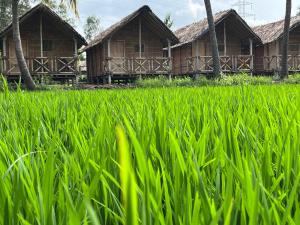 a group of houses in a field of grass at Blue Sky Cottages Hampi in Hampi