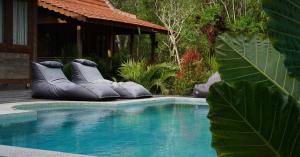 an outdoor swimming pool with two inflatableigatorsitures sidx sidx sidx sidx at Rumah Bambu Gladek Tiga in Uluwatu
