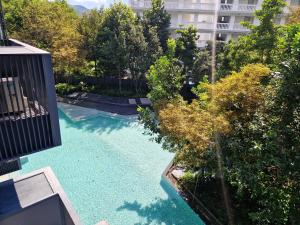 an overhead view of a swimming pool with trees and a building at The Deck Patong 7Fl Mountain View 1 in Patong Beach