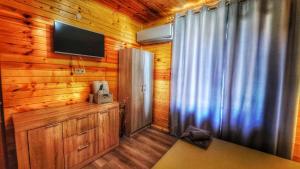 a room with a television and a wooden wall at Вила ВлаиДа in Sapareva Banya