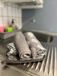 a towel sitting on a drying rack in a kitchen at ZV-Scholtz Burghausen Mozartstr, 15 AP-KL in Burghausen